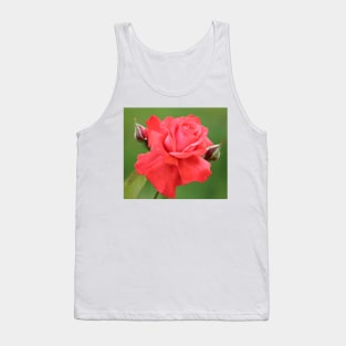 Pink Rose Flower and Buds Tank Top